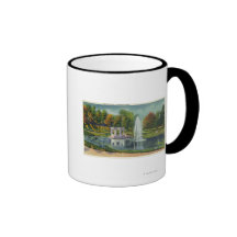 Congress Park War Memorial View Coffee Mugs