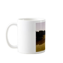 Congressional reflections mugs