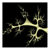 Conidia posters