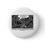 Conjugal Love In The Bacterial World Pins
