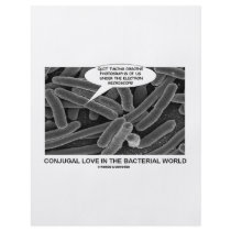 Conjugal Love In The Bacterial World Full Color Flyer