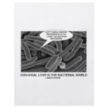Conjugal Love In The Bacterial World Full Color Flyer
