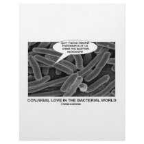 Conjugal Love In The Bacterial World Letterhead Template
