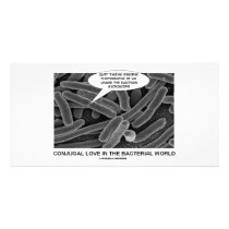 Conjugal Love In The Bacterial World photo cards by wordsunwords Conjugal Love In The Bacterial World photo cards