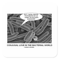 Conjugal Love In The Bacterial World (Photograph) Stickers
