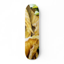 Conker Seed skateboards