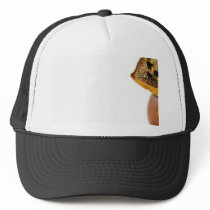 Conker With Thorns On White Background hats by lifesphere Conker With Thorns On White Background hats