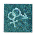 Connected Male and Female Symbols Magnet 025 by Sexuality Connected Male and Female Symbols Magnet 025