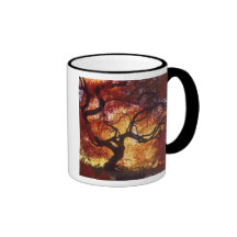 Connecticut: Darien, Japanese maple 'Acer Coffee Mug