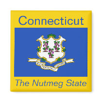 Connecticut Flag Magnet