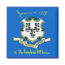 Connecticut Flag Magnet by deesbasenjis Connecticut Flag Magnet