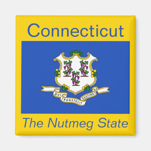 Connecticut Flag Magnet