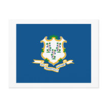Connecticut Flag Postcard by FlagTshirts Connecticut Flag Postcard