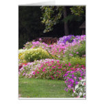 Connecticut flowers