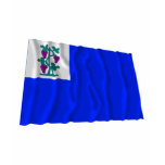 Connecticut Privateer Flag
