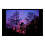 Connecticut Spring Sunset