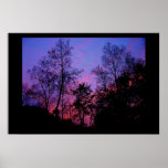 Connecticut Spring Sunset posters