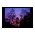 Connecticut Spring Sunset posters by ladyred0269 Connecticut Spring Sunset posters
