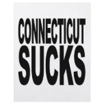 Connecticut Sucks Custom Flyer