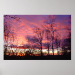 Connecticut Winter Sunset posters