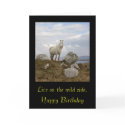Connemara Pony, Live on the wild side. , Happy ... cards