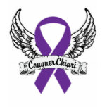 Conquer Chiari t-shirts