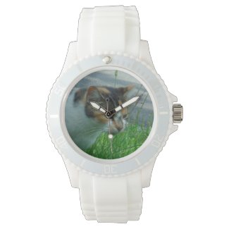 Conquest Kitty Hunting Watches