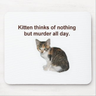 Conquest Kitty