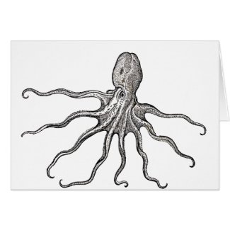 Conrad Gesner Octopus-Black Cards