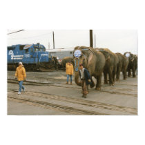 Conrail Elephants on The March posters