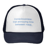 Consciousness: that annoying time between naps