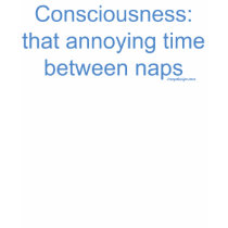 Consciousness: that annoying time between naps t-shirts