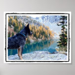 Conservation Canine "Max" Picture/Poster posters