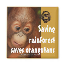 Conservation Magnets