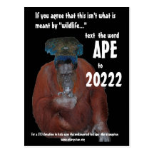 Conservation Texting Donation Postcards
