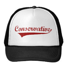 Conservative Mesh Hat