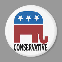 Conservative magnets
