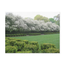 Conservatory Garden (Central Park, New York City) Post Card