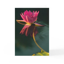 Consider the lilies...greeting card