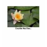 Consider the lilies tshirts