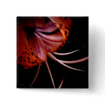 Consider the Lillies 103 Buttons