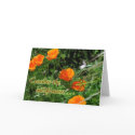 Consider the Wildflowers Encouragement cards