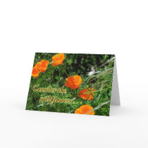 Consider the Wildflowers Encouragement cards