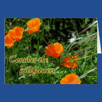 Consider the Wildflowers Encouragement cards