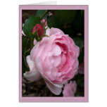 Constance Spry Card