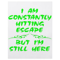 Constantly Hitting Escape flyers