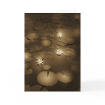 Constellation-MW1410 cards