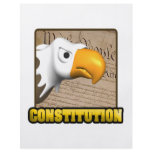 Constitution Flyer
