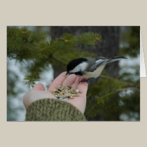 Contact cards