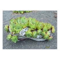 Container Gardening ~ ATC business cards by Andy2302 Container Gardening ~ ATC business cards